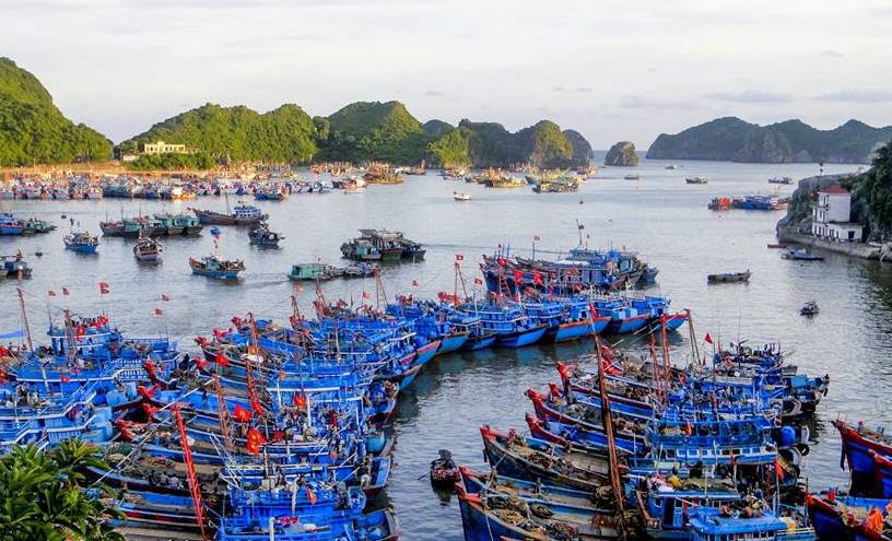 Hải Phòng: Công bố mở cảng cá Ngọc Hải và cảng cá Trân Châu - Ảnh 1