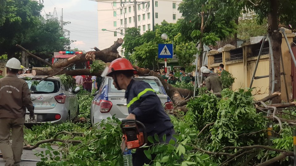 Hà Nội: Cây xà cừ đổ đè trúng 3 ô tô trên đường Trần Hưng Đạo - Ảnh 2
