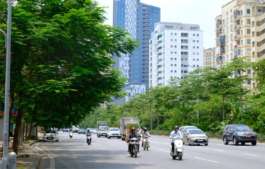 Hà Nội phát triển hệ thống cây xanh: Làm dày thêm “tấm lá chắn” bảo vệ môi trường - Ảnh 2