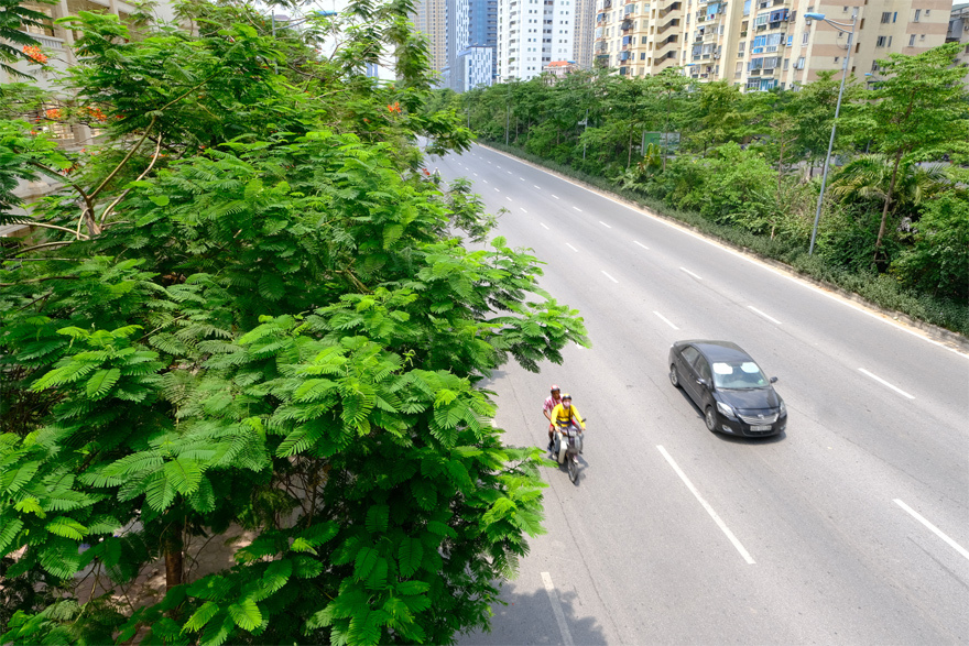 Hà Nội phát triển hệ thống cây xanh: Làm dày thêm “tấm lá chắn” bảo vệ môi trường - Ảnh 1