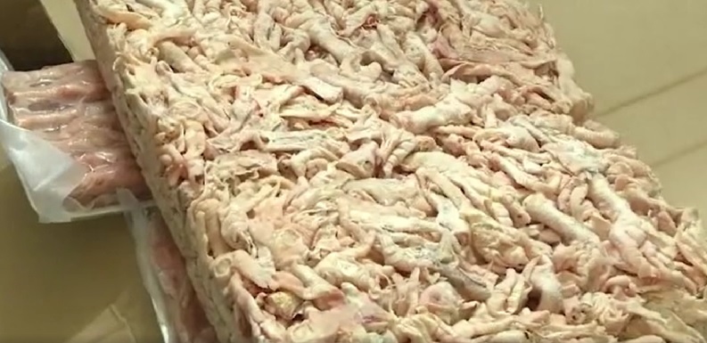 Hải Phòng: Thu giữ 24 tấn nội tạng bị nhiễm khuẩn dịch tả lợn châu Phi - Ảnh 1