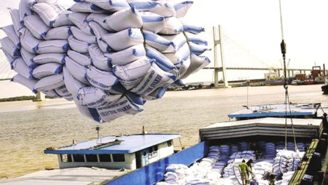 9 loại gạo được hưởng ưu đãi thuế khi xuất khẩu sang châu Âu - Ảnh 1