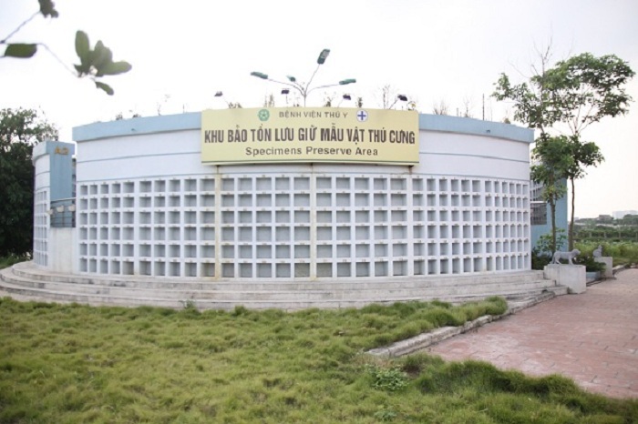 Mục sở thị Bệnh viện dành cho thú cưng lớn nhất Việt Nam - Ảnh 12