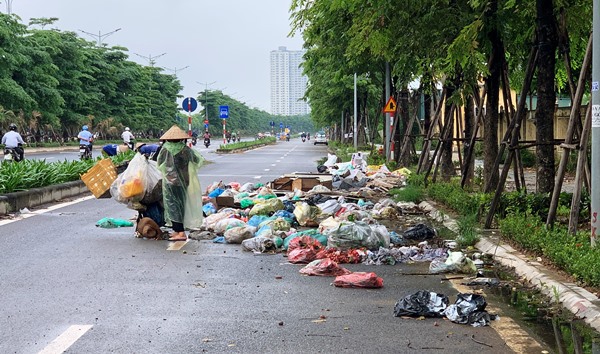 Vì sao Đại lộ Chu Văn An ngập trong rác thải? - Ảnh 1