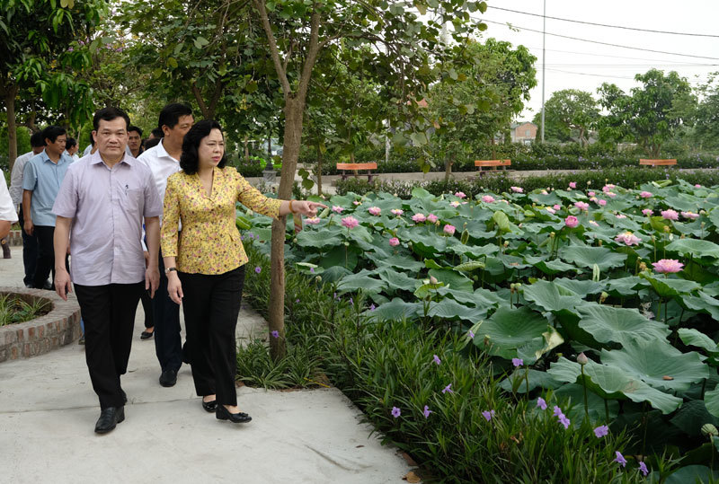 5 năm thực hiện Chương trình số 02-CTr/TU của Thành ủy Hà Nội: Thay đổi căn bản diện mạo nông thôn - Ảnh 1