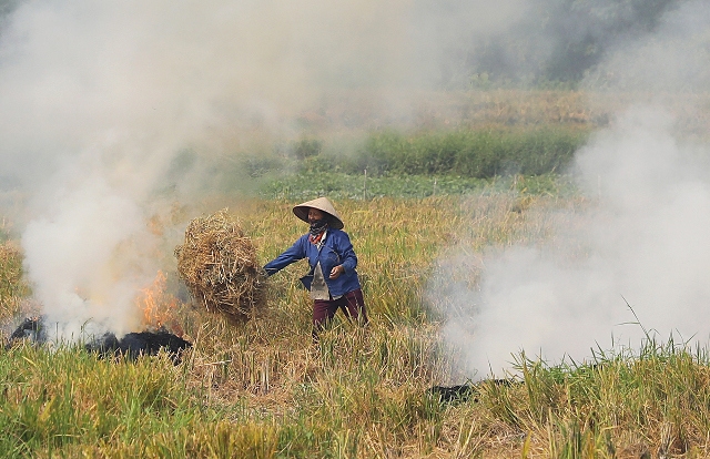 Huyện Mê Linh: Gần 1/3 rơm rạ sau thu hoạch được đốt trên cánh đồng - Ảnh 1