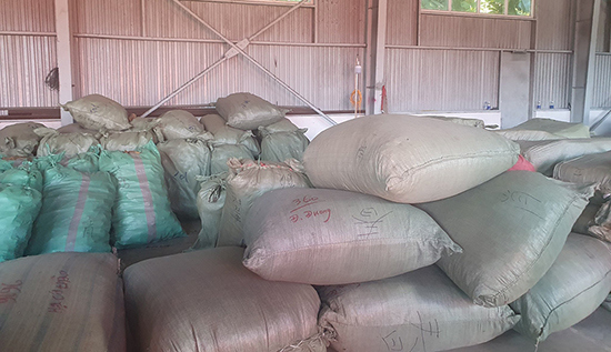 Hơn 100 tấn dược liệu đội lốt củ quả nhập khẩu vào Đà Nẵng - Ảnh 1