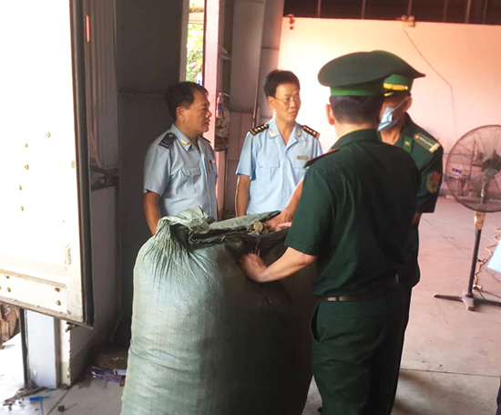 Hơn 100 tấn dược liệu đội lốt củ quả nhập khẩu vào Đà Nẵng - Ảnh 2