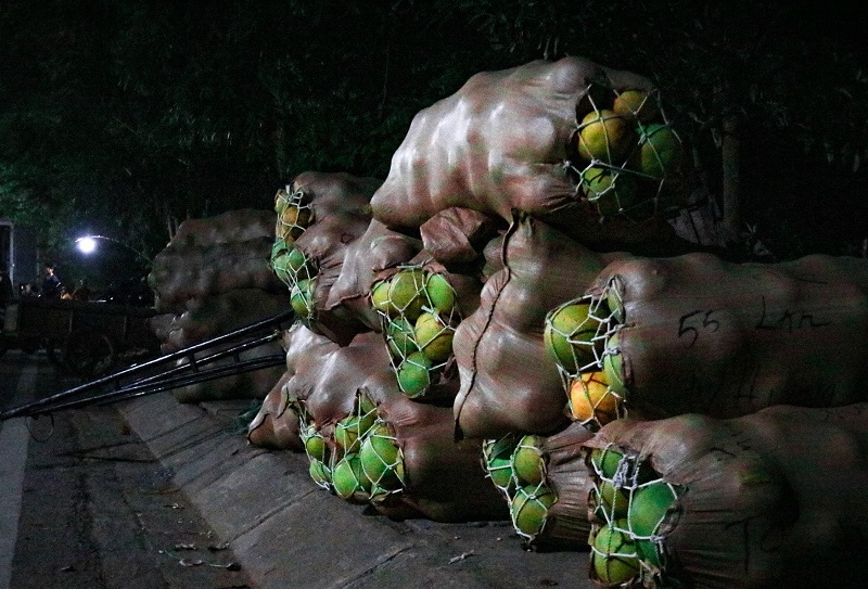 Hà Tĩnh: Chợ đêm bán trái cây "gây nghiện” - Ảnh 8
