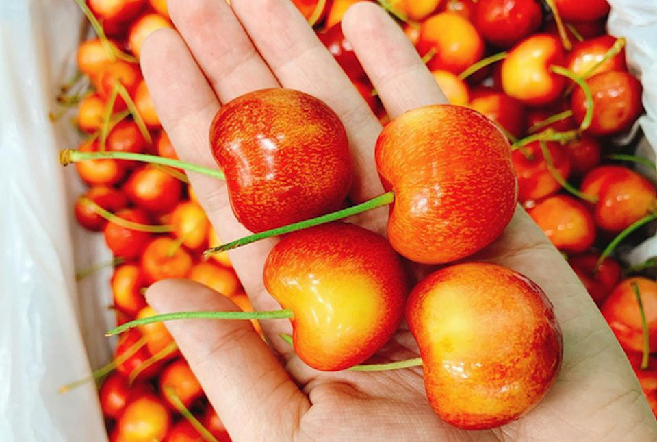 TP Hồ Chí Minh: Giảm giá mạnh, cherry Mỹ giá chỉ còn 299.000 đồng/kg - Ảnh 2