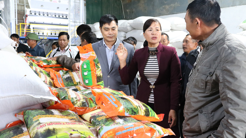 Mở đầu ra cho gạo Khu Cháy - Ảnh 1