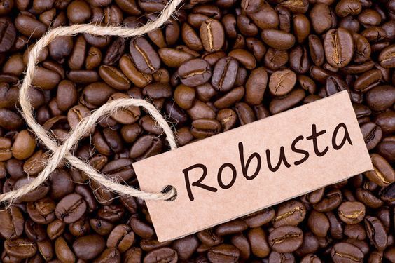 Giá cà phê hôm nay 26/9: Thị trường thế giới tăng do đầu cơ kéo cà phê Tây Nguyên thêm 100 - 200 đồng/kg - Ảnh 1