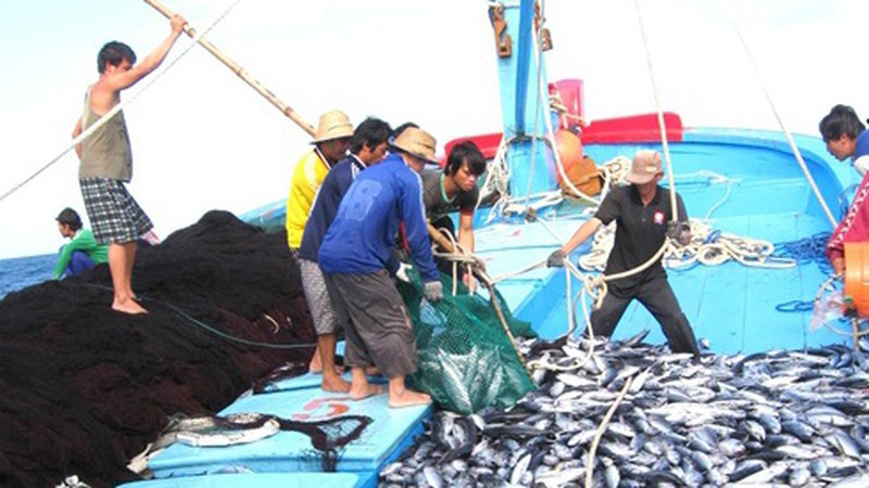 Chấm dứt tình trạng khai thác hải sản bất hợp pháp - Ảnh 1