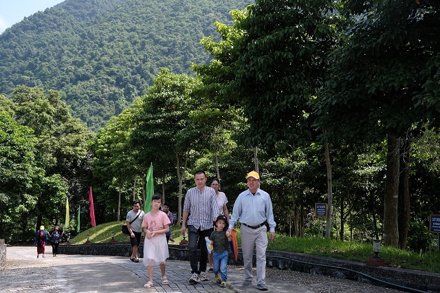 Vinamilk và Quỹ 1 triệu cây xanh cho Việt Nam trồng cây tại nhiều địa danh lịch sử - Ảnh 3