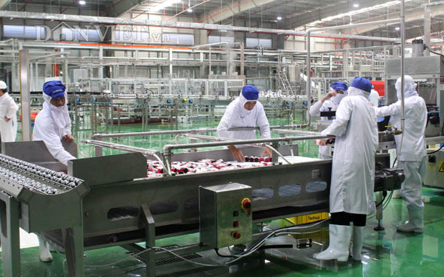 Phê duyệt Đồ án Quy hoạch 1/500 nhà máy chế biến rau củ quả Haphofood tại Hải Phòng - Ảnh 1