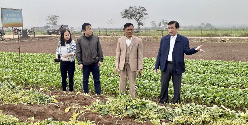 Đại hội Đại biểu Liên minh Hợp tác xã TP Hà Nội lần thứ VI: Phát huy vai trò nòng cốt trong phát triển kinh tế tập thể - Ảnh 1