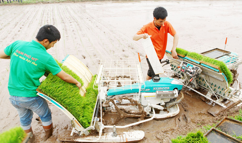 Quỹ Khuyến nông Hà Nội: Thúc đẩy cơ giới hóa sản xuất - Ảnh 1