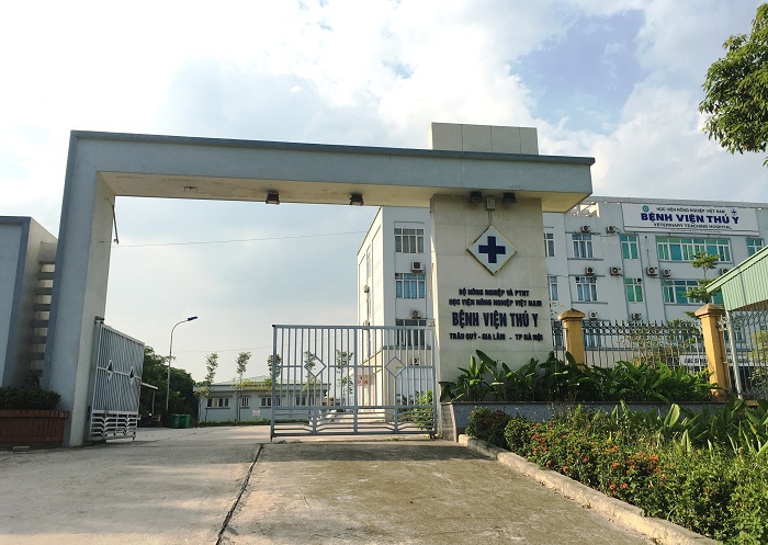 Mục sở thị Bệnh viện dành cho thú cưng lớn nhất Việt Nam - Ảnh 1