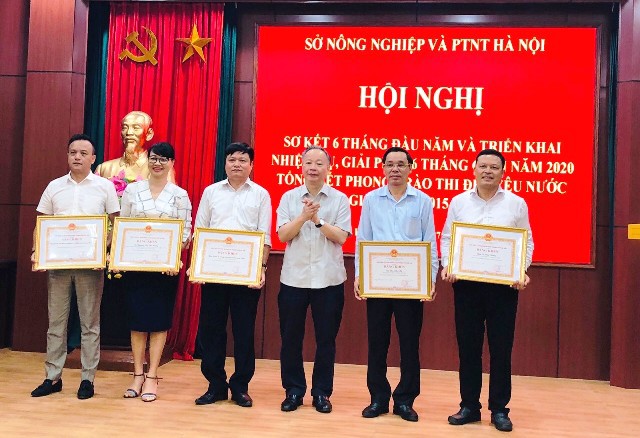 Hà Nội: Không được bỏ ruộng sản xuất trong vụ Mùa, vụ Đông 2020 - Ảnh 1