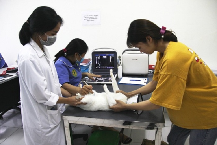 Mục sở thị Bệnh viện dành cho thú cưng lớn nhất Việt Nam - Ảnh 3