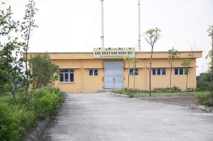 Mục sở thị Bệnh viện dành cho thú cưng lớn nhất Việt Nam - Ảnh 11