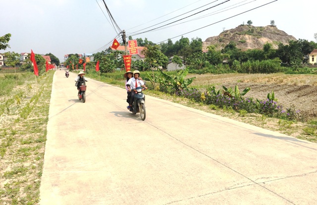 Huyện Sóc Sơn lấy ý kiến sự hài lòng của người dân về kết quả xây dựng nông thôn mới - Ảnh 1