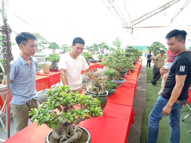Hội chợ Du lịch sinh vật cảnh Thanh Oai chính thức mở cửa đón khách - Ảnh 2