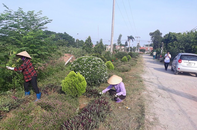 Huyện Thanh Oai ra quân tổng vệ sinh môi trường - Ảnh 2