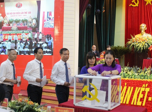 Thị xã Sơn Tây thực hiện nhiệm vụ kép, vừa phòng chống dịch vừa phát triển kinh tế - Ảnh 3