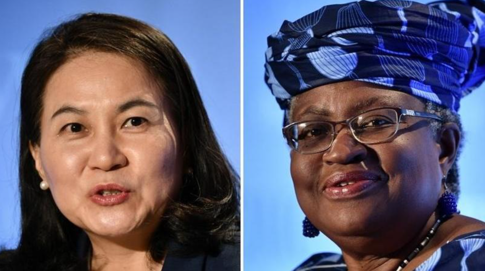 Bầu cử Mỹ chi phối "cuộc chiến" chọn nữ lãnh đạo WTO đầu tiên trong lịch sử - Ảnh 1
