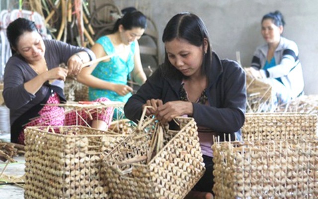 Hà Nội: Ảnh hưởng Covid-19, cứ 100 lao động nông thôn lại có 1 người thất nghiệp - Ảnh 1