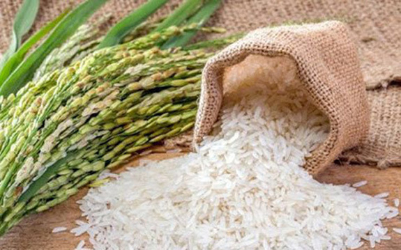 [Tiếng dân] Gạo Việt xuất khẩu, tin vui thời Covid - Ảnh 1