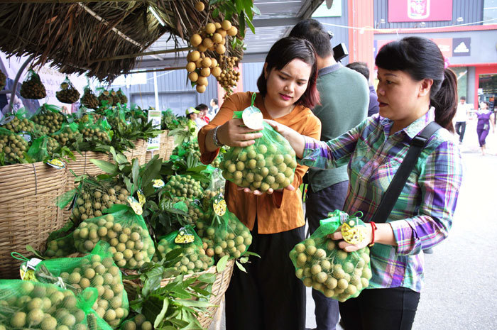 Đẩy mạnh xuất khẩu quả nhãn Việt Nam - Ảnh 1