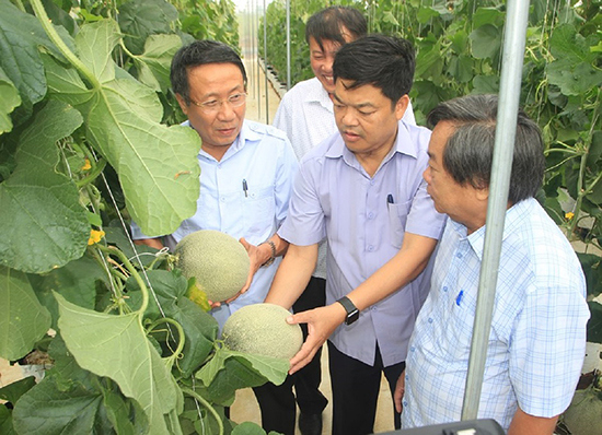 Đề xuất phát triển dự án nông nghiệp công nghệ cao quy mô 5.000ha tại Quảng Trị - Ảnh 2