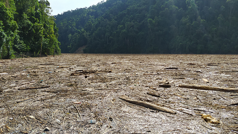 Kinh hoàng cảnh hồ thủy điện Sông Tranh 2 dày đặc gỗ, cây rừng sau mưa lũ - Ảnh 1