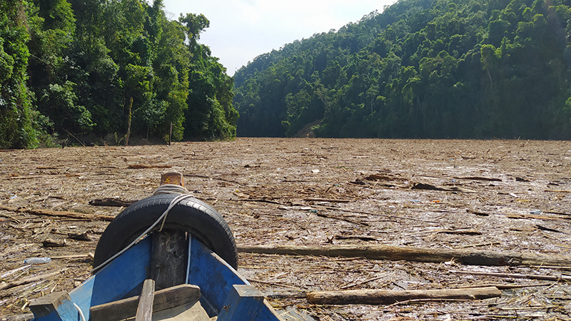 Kinh hoàng cảnh hồ thủy điện Sông Tranh 2 dày đặc gỗ, cây rừng sau mưa lũ - Ảnh 2