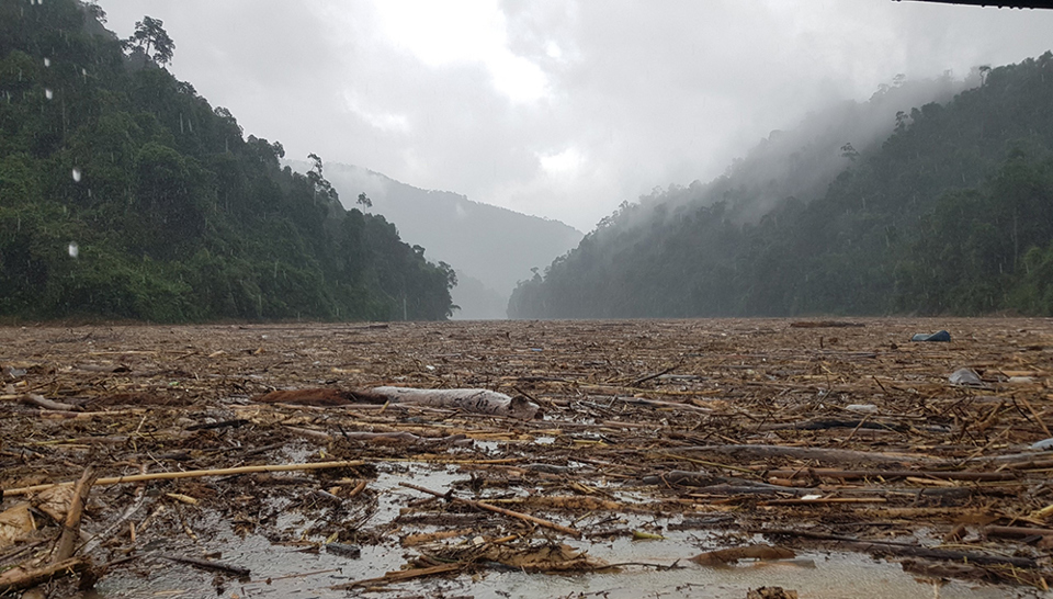 Kinh hoàng cảnh hồ thủy điện Sông Tranh 2 dày đặc gỗ, cây rừng sau mưa lũ - Ảnh 3