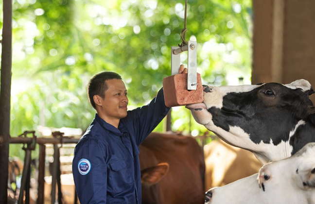 Cô Gái Hà Lan và hành trình kiến tạo giá trị cho ngành chăn nuôi bò sữa bền vững - Ảnh 2