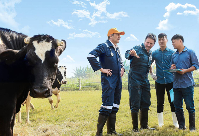 Cô Gái Hà Lan và hành trình kiến tạo giá trị cho ngành chăn nuôi bò sữa bền vững - Ảnh 3