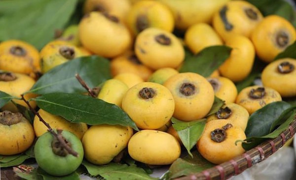 TP Hồ Chí Minh: Thị thơm có giá đắt đỏ 150.000 - 200.000 đồng/kg - Ảnh 1