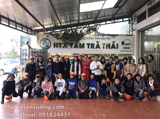 Haitratancuong - Bán Trà Tân Cương đặc sản thái nguyên chất lượng - Ảnh 1