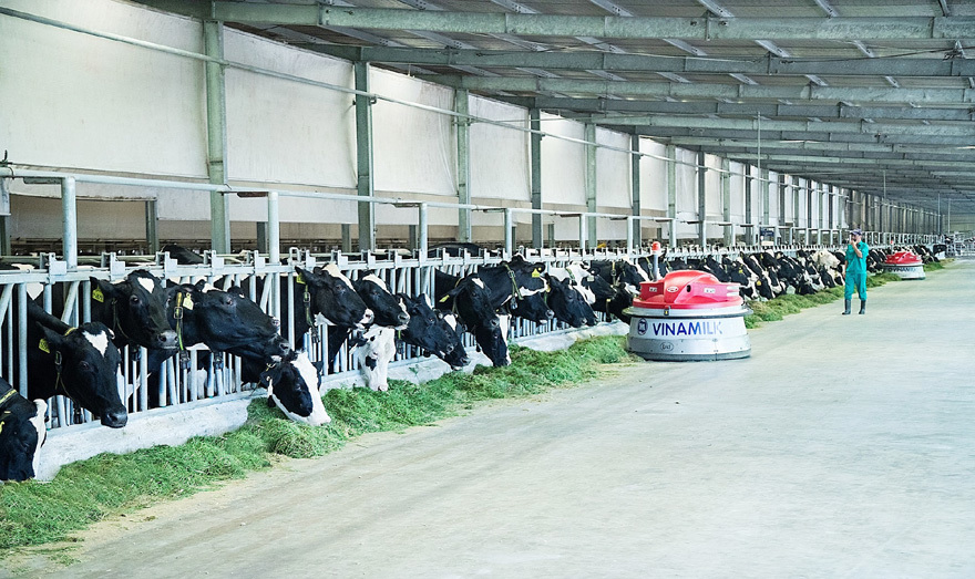 Phát triển nông nghiệp theo hướng bền vững: Nhìn từ hệ thống trang trại bò sữa Vinamilk - Ảnh 4