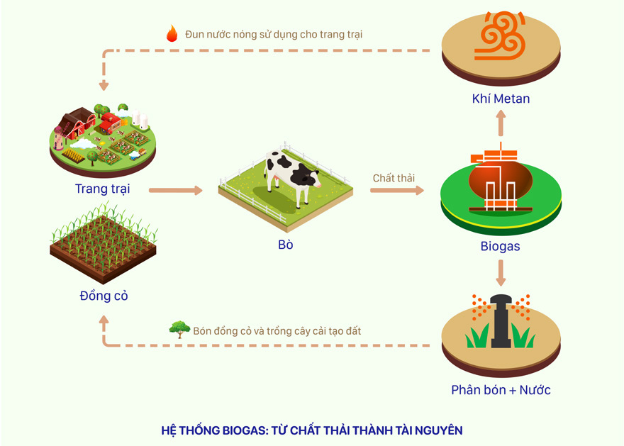 Phát triển nông nghiệp theo hướng bền vững: Nhìn từ hệ thống trang trại bò sữa Vinamilk - Ảnh 5