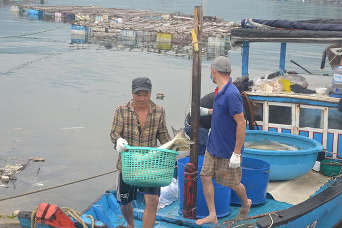 Ngư dân Đà Nẵng khẩn trương kéo thuyền lên bờ trú bão số 5 - Ảnh 6