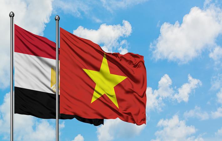 Thành tựu kinh tế - xã hội của Việt Nam nổi bật trên báo chí Ai Cập - Ảnh 1