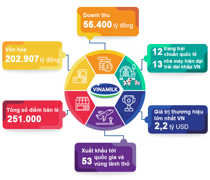 Vinamilk liên tiếp được đánh giá thuộc Top công ty kinh doanh hiệu quả nhất Việt Nam - Ảnh 7