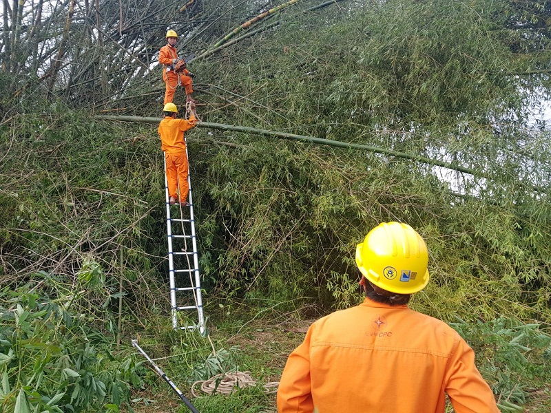 PC Quảng Ngãi huy động tổng lực khẩn trương khôi phục cấp điện sau bão số 9 - Ảnh 1