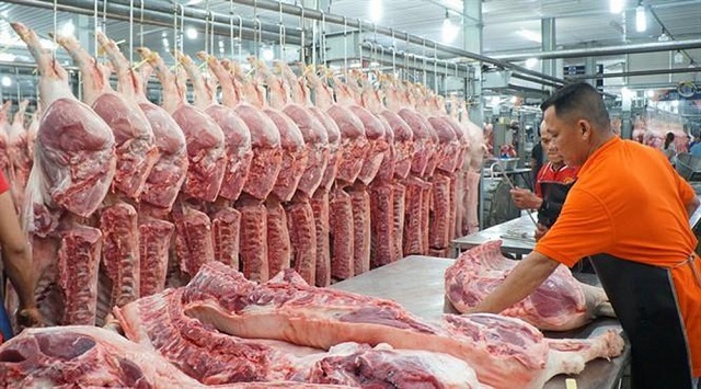 3 tháng đầu năm 2020,giá thịt lợn,dịch tả lợn,COVID-19, giá thịt heo, giá heo mới nhất
