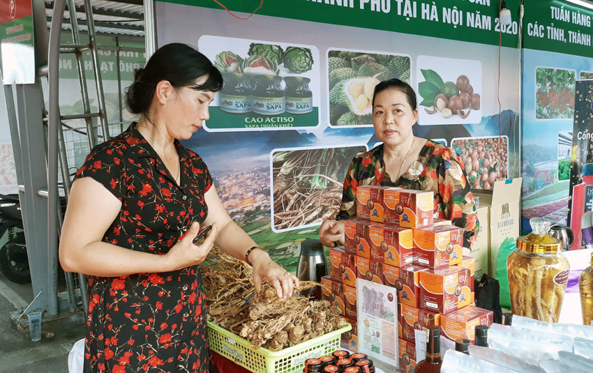 Khai mạc Tuần hàng trái cây nông sản các tỉnh, thành tại Hà Nội 2020 - Ảnh 3