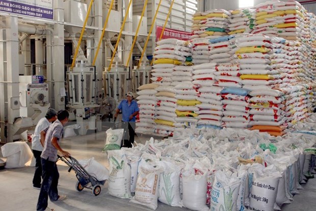 Thủ tướng yêu cầu thanh tra việc chấp hành quy định về xuất khẩu gạo - Ảnh 1